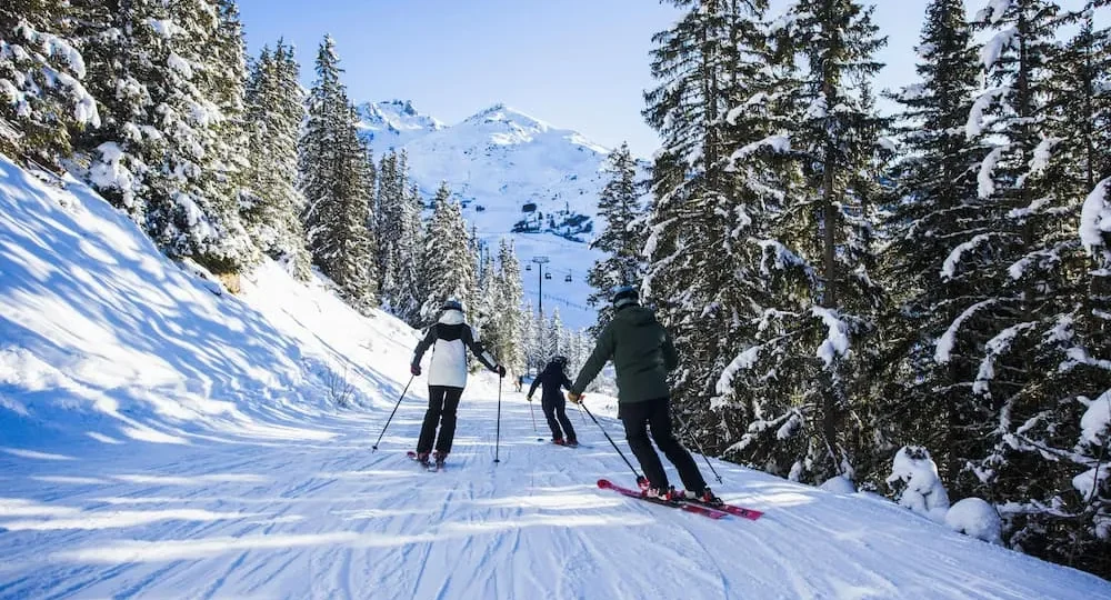 Hur Åre utvecklades till ett av Sveriges största fjällresmål