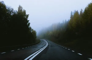 Sveriges vägnät